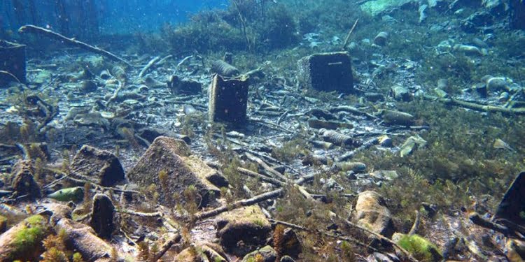 İçme suyu kaynağında şoke eden görüntü
