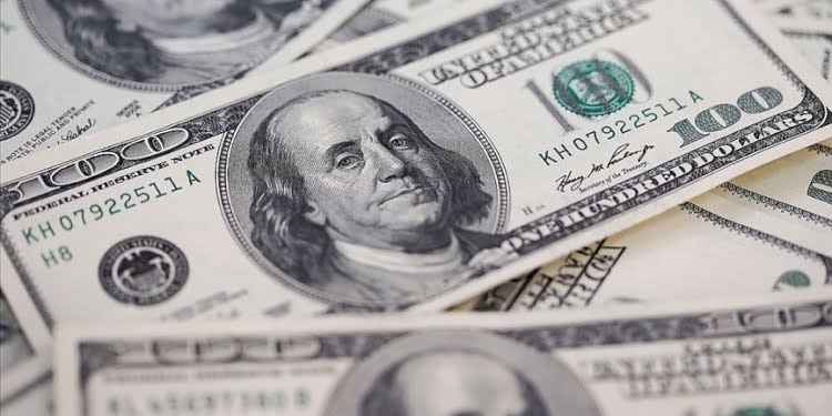 Dolar fırladığında kimler ne kadar kazandı?