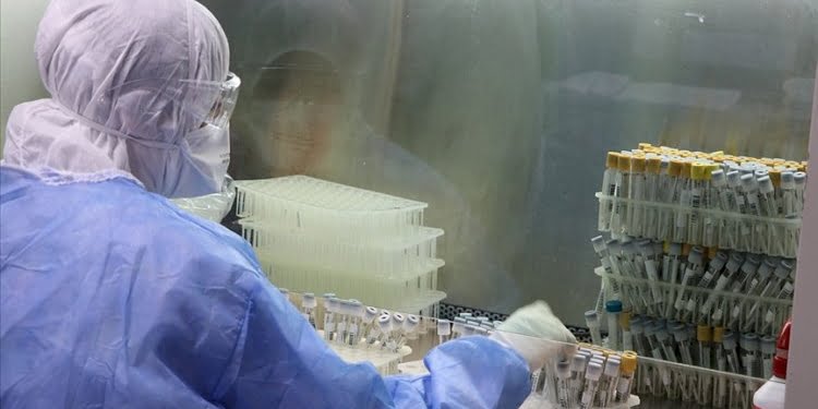 Erkeklerde kısırlık yüzde 50’ye ulaştı
