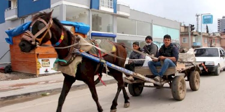 Kurallara uymayıp, at arabasıyla otomobil çektiler