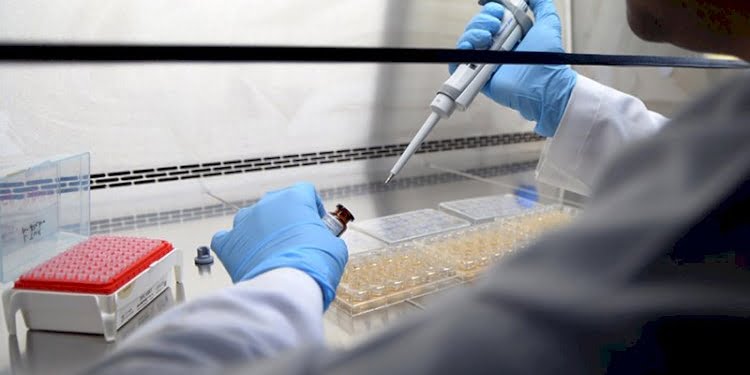 Dünya kanser istatistiklerinde sevindiren gelişme