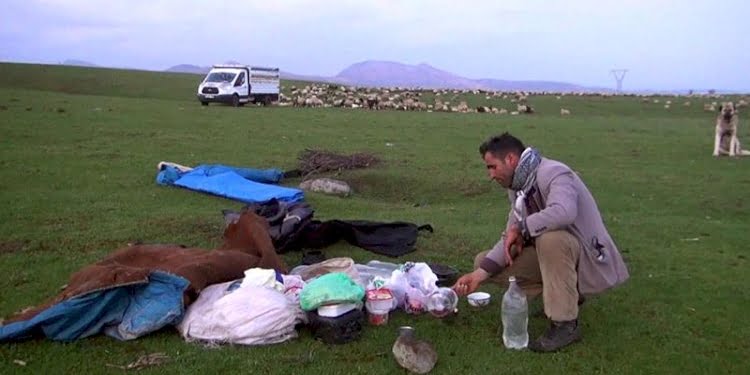 İftar ve sahurlarını sürülerinin başında yapıyorlar