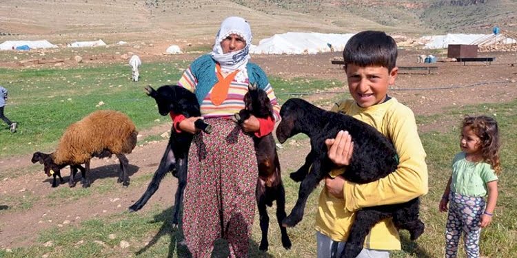 Yaylalara göç hazırlığı