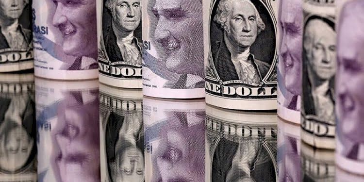 TC Merkez Bankası görevden almaları sonrası dolar rekor tazeledi