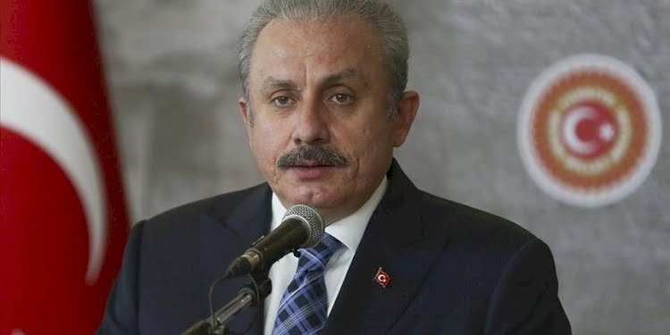TBMM Başkanı Şentop: ‘Soykırım’ demek için hukukta öngörülen şartların hiçbiri mevcut değildir