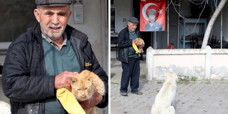 Pandemide kapanan kahvehanesini sokak hayvanlarına açtı
