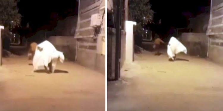 Kahramanmaraş’ta sahur vakti akılalmaz olay! Ramazan davulcusu korkudan ne yapacağını şaşırdı