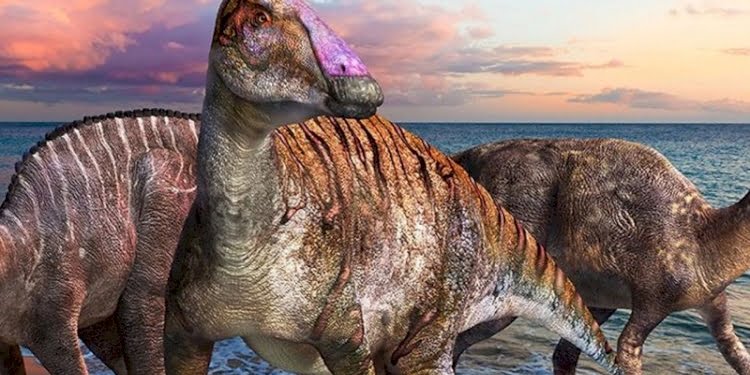 İki ayaklıdan dört ayaklıya evrime işaret eden yeni bir dinozor türü keşfedildi