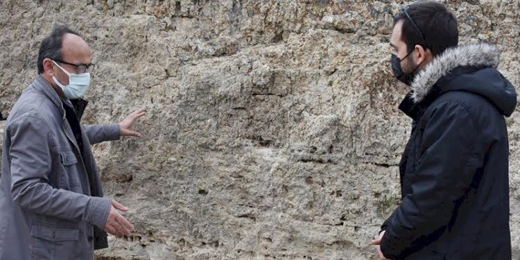 1 kilometrekarelik alanda onlarca var! Tek tek tespit edildi