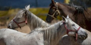 image_750x_608fb4e0d160b