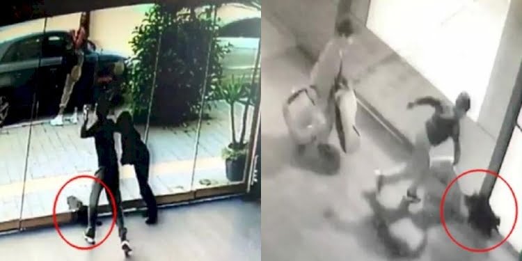 İzmir’de çocuk dehşeti… Kediyi ölene kadar dövdüler