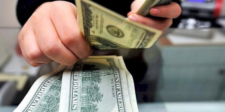 Dövize üçüncü müdahalenin miktarı açıklandı