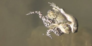 image_750x_60ae51902168a