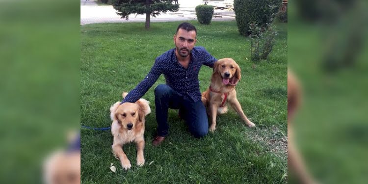 Dövülen kadını kurtarmak isterken öldürüldü