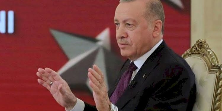 Erdoğan’dan ‘2 hayvanım vardı şimdi 1’ diyen gazeteciye: Öldürdün mü?