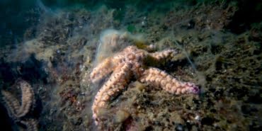 image_750x_60b8b01500d51