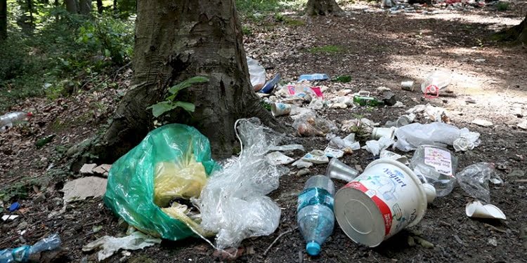 Yine aynı manzara: Piknikçiler ormanı çöplüğü çevirdi