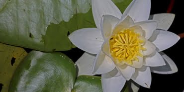 image_750x_60c857b52d494