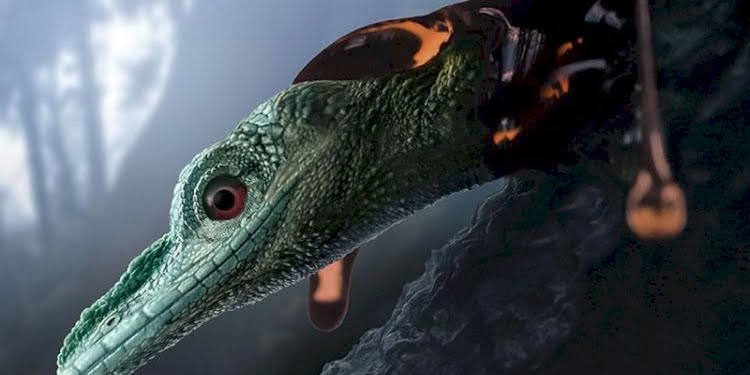 Dünyanın en küçük dinozoru zannediliyordu, gerçek ise yeni anlaşıldı