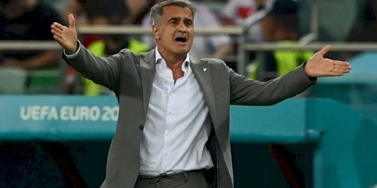 Şenol Güneş’ten Galler mağlubiyeti sonrası açıklama