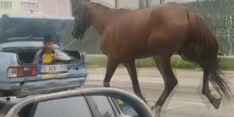 Atı iple bağlayıp arabanın arkasında koşturdular