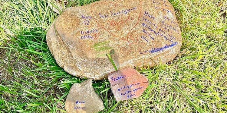 Taşa ‘tecavüz ediliyorum’ yazmıştı… Jet iddianame