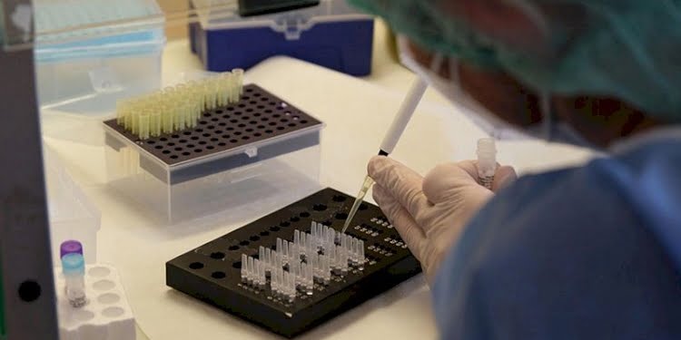 ‘Sinovac’ araştırması: Antikorda 3 ay sonra düşüş