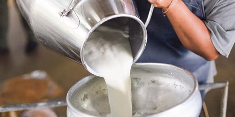 Çiğ süt desteği ödemelerine ilişkin esaslar belli oldu