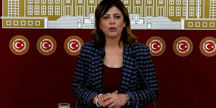 HDP’li Beştaş: 4 parti bizden habersiz Washington’a gitmiş
