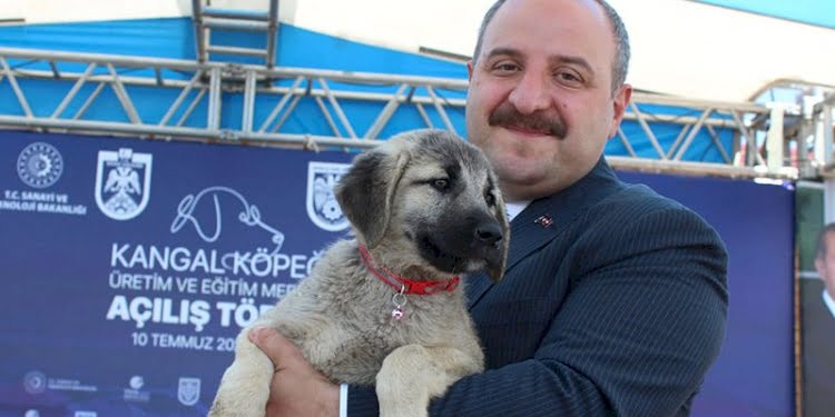 Bakan Varank, Kangal Köpeği Eğitim Merkezi açılışında konuştu: Vizyonsuz muhalefetimiz var