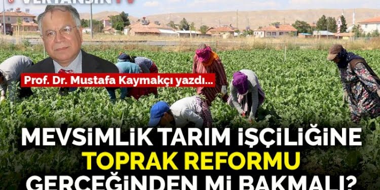 Mevsimlik tarım işçiliğine toprak reformu gerçeğinden mi bakmalı?