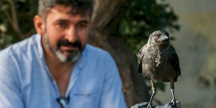 Karga ile dostluğu görenleri şaşırtıyor