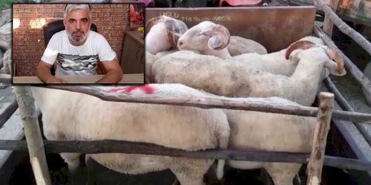 Kuran kursu için aldığını söylediği 8 küçükbaş hayvanı çaldı