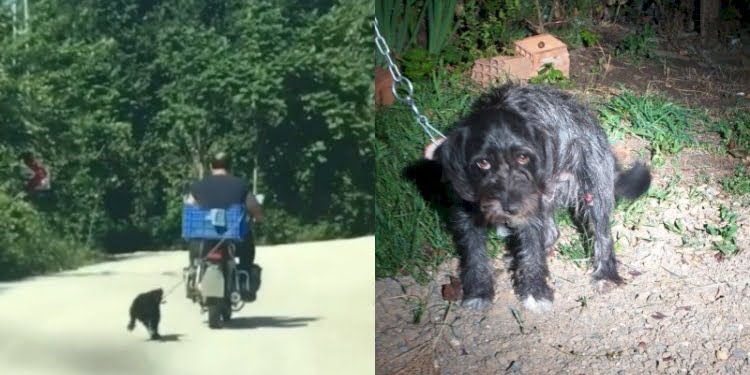 Köpeği motosikletin arkasına bağlayan cani yakalandı