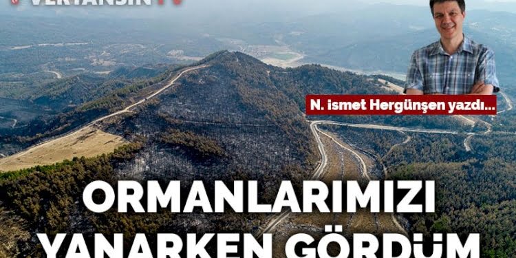 Ormanlarımızı yanarken gördüm