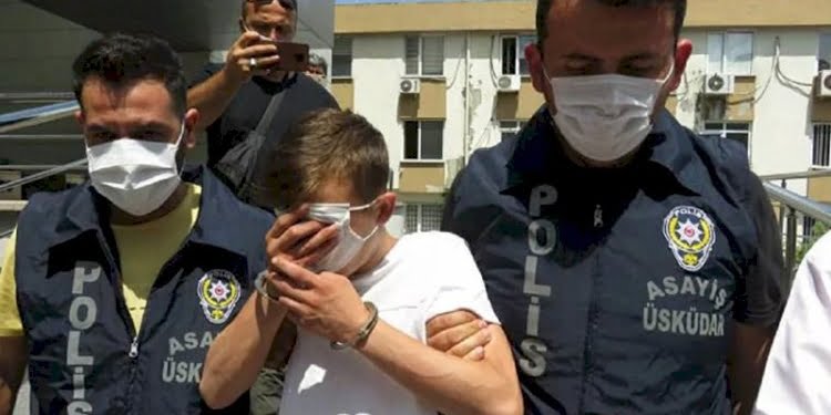 Üsküdar’da sokakta yaşayan kediyi öldüren cani tutuklandı