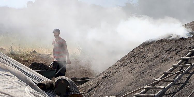 Mangal kömürü için bir ömrü çadırlarda geçiriyorlar