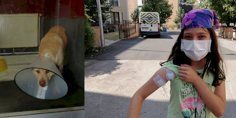 Emekli polis, köpeğe mermi yağdırdı, seken mermi 10 yaşındaki çocuğa isabet etti