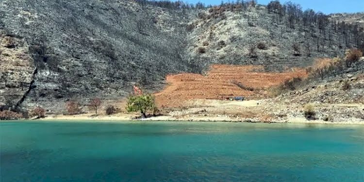 Sosyal medyayı sallayan videonun altından ne çıktı?