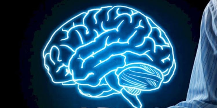 Türkiye’nin iq ortalaması ortaya çıktı