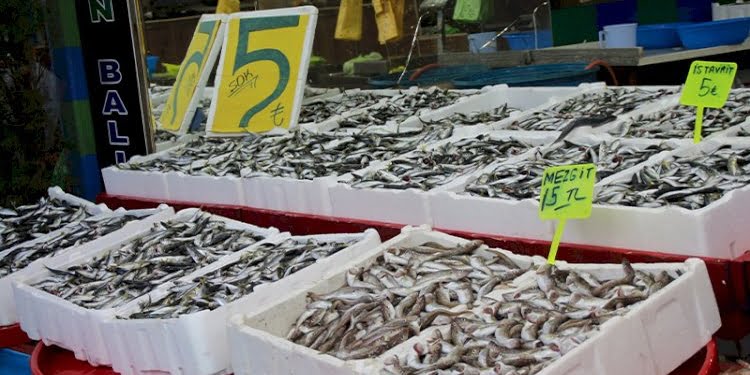 Vatandaş fiyatı düşen balıkları stoklamaya başladı