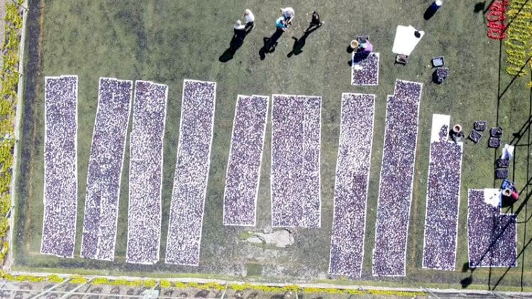 featured