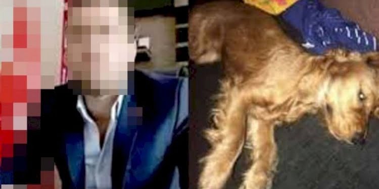Köpeğin ölümüne neden olmuştu! Yakalama kararı çıkarıldı