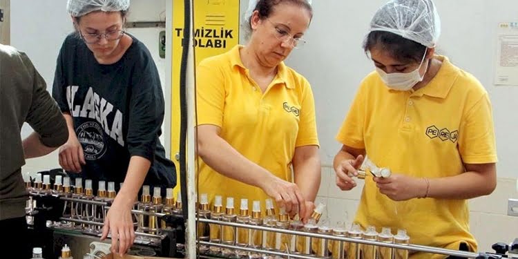 Türk kolonyasına, İskandinav ülkelerinden yoğun talep