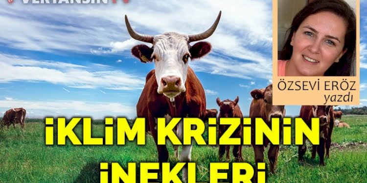 İklim krizinin inekleri