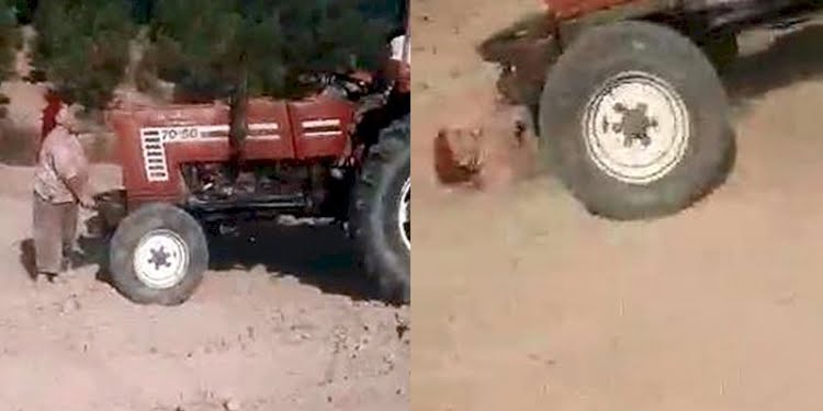İki kardeş traktör ile ablalarını ezmeye çalıştı…