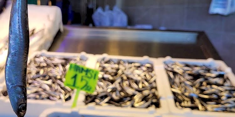Karadeniz’de hamsi bolluğu! Fiyatı yarıya düştü