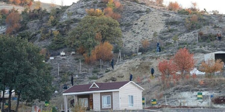 9 yıl önce kaybolan 2 kardeşin başına gelenler yıllar sonra ortaya çıktı