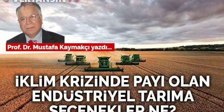 İklim krizinde payı olan endüstriyel tarıma seçenekler ne?