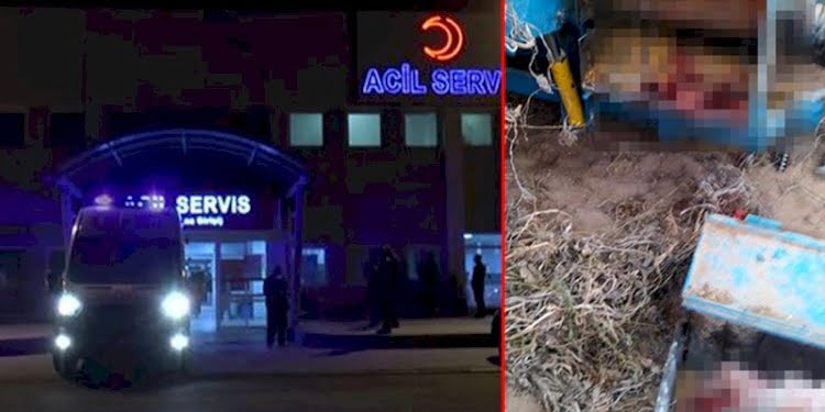 Tarlada çalışan talihsiz kadın kabak çekme makinesine düştü